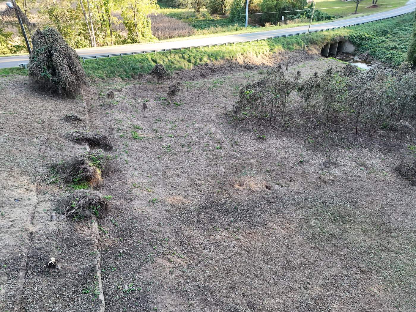 The same bank two months later, grazed down to open ground with the creek and culvert visible